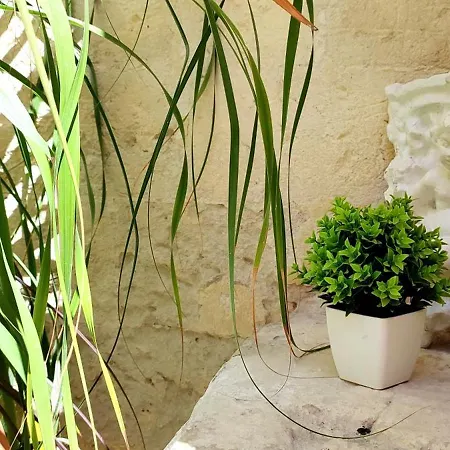 Casa Tudor Art Luxury Gasthof Matera